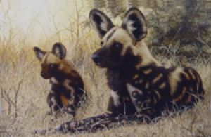 "Wild Dogs 2"