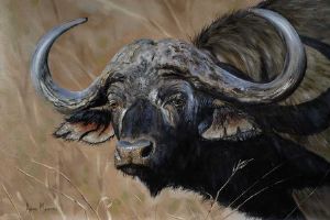 "Buffalo"