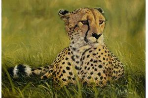 "Cheetah"