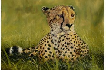 "Cheetah"