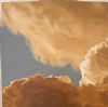 "Calm Storm"