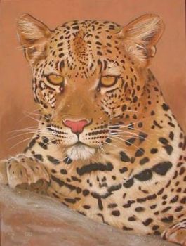 "Leopard"
