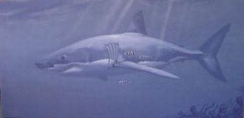 "Great White"