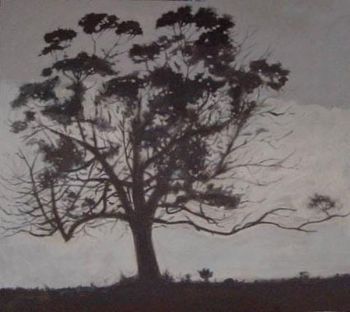 "Moonlight in Swellendam"