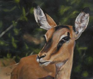"Impala"