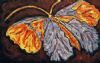 "Butterfly"