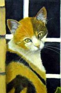 "Geranium Cat close-up"