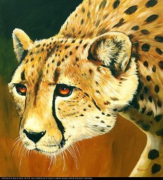 "Cheetah"