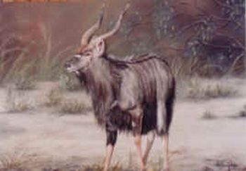 "Nyala"