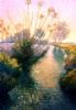 "River Magic"