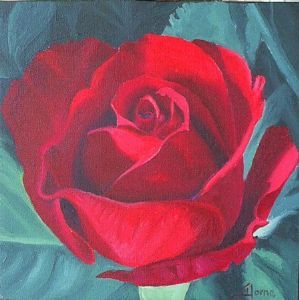 "Study of Red Rose 2"
