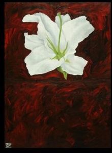"Flaming Lily"