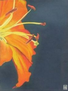 "Day Lily"