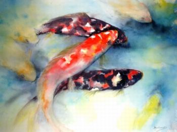 "Koi 4"