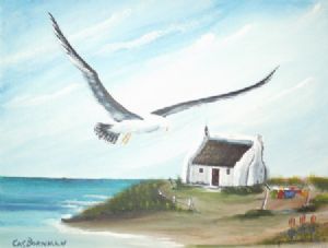 "Seagull"