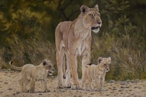 "Lioness And Cubs"