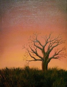 "SUNDOWN"
