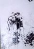 "Detail, kitchen mural"