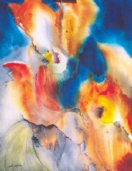 Gladiolus Transluciae