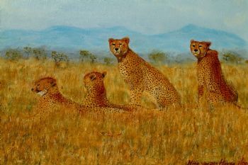 "Cheetahs"