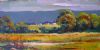 "Landscape near Fouriesburg, Free State, South Africa"