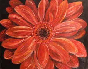 "Gerbera"