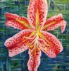 "Lilly"