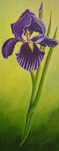 "Iris"