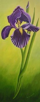 "Iris"