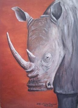 "White Rhino"