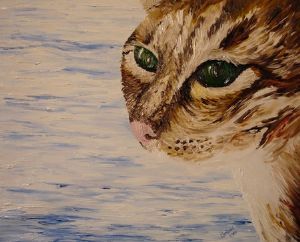 "Wild Cat"