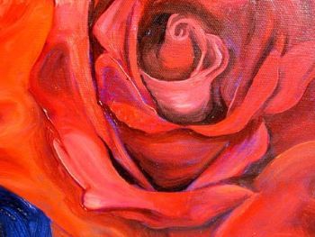 "Red Rose"