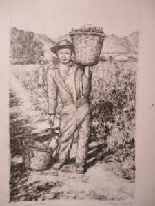 "The Grape Picker"