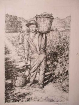 "The Grape Picker"