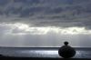"The Observer"