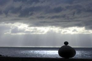 "The Observer"