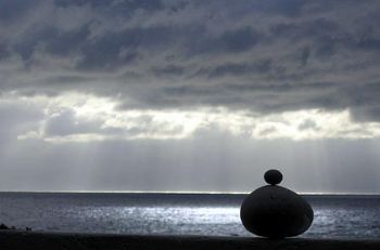 "The Observer"