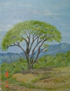 "Near Kruger Park SA"