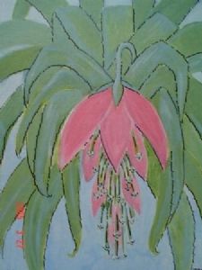"Bromelia"
