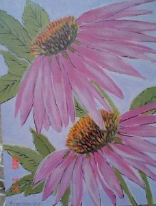 "Echinacea"
