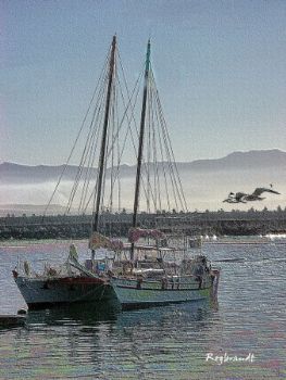 "Mosselbay"