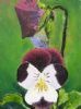 "Pansies"