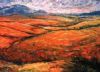 "Caledon district"