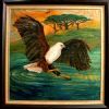 "African Fisheagle"
