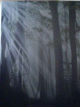 "Dreamy woods"