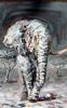 "Black and White Elephant"