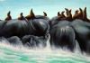 "Seal Island, Hout Bay"