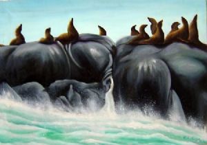 "Seal Island, Hout Bay"