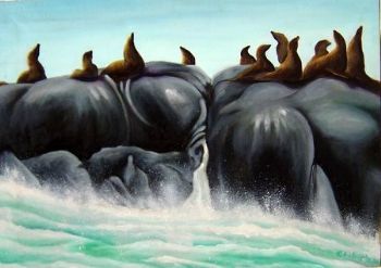 "Seal Island, Hout Bay"