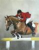 "Showjumping #1"